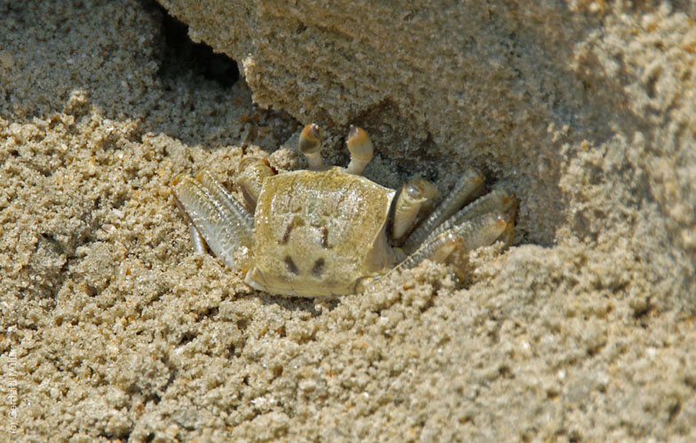 06_Phu Quoc_10077