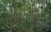 06_Phu Quoc_10042