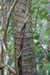 06_Phu Quoc_10044