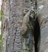 06_Phu Quoc_10046