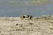 06_Phu Quoc_10076