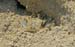 06_Phu Quoc_10077