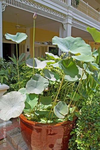 07_La Veranda_122