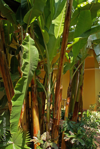 07_La Veranda_139