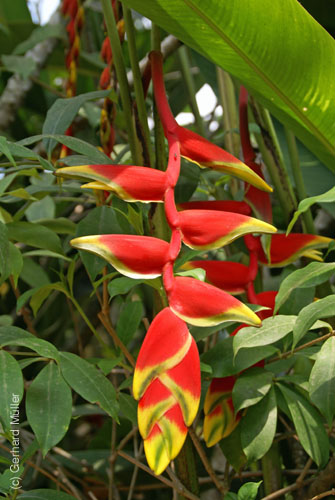 07_La Veranda_201