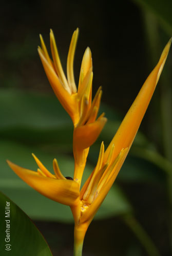07_La Veranda_204