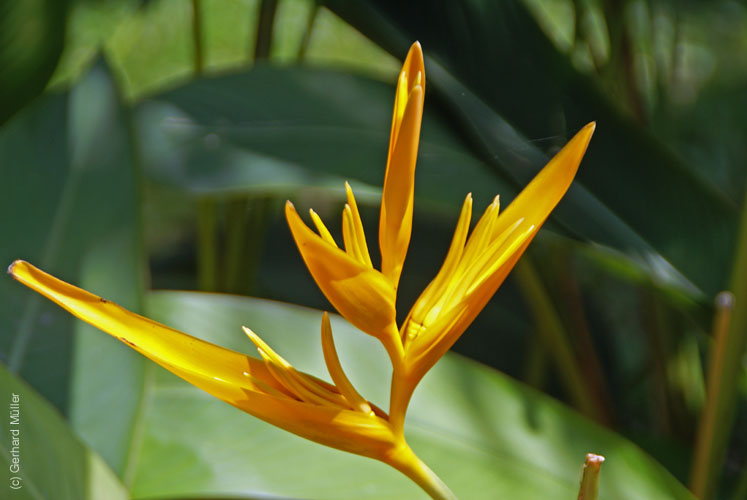 07_La Veranda_207