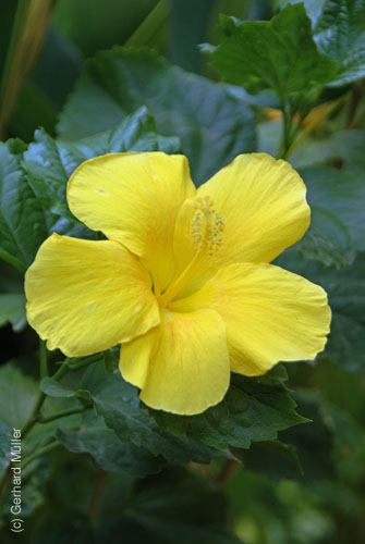 07_La Veranda_235