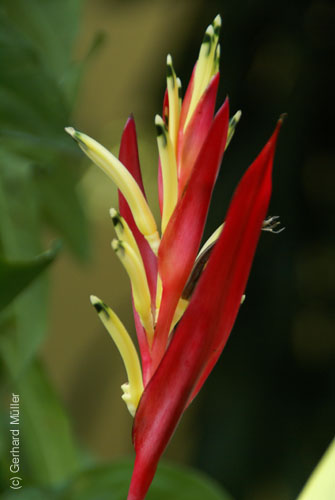 07_La Veranda_237