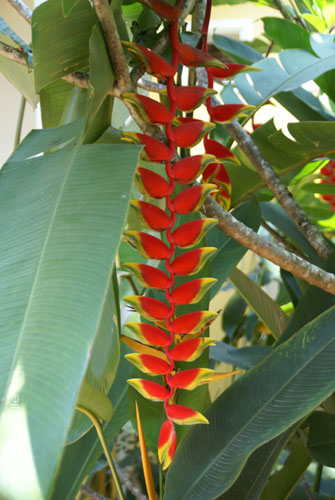 07_La Veranda_238