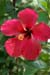 07_La Veranda_231