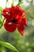 07_La Veranda_233
