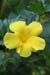 07_La Veranda_235