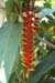 07_La Veranda_238