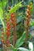 07_La Veranda_240